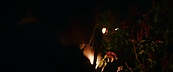 inthefire47094.jpg