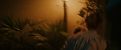 inthefire47869.jpg