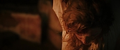 inthefire48359.jpg