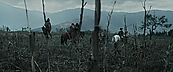 Filename=inthefire00730.jpg
Filesize=408KiB
Dimensions=1920x800
Date added=Oct 13, 2023 inthefire00730.jpg