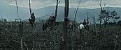 Filename=inthefire00731.jpg
Filesize=409KiB
Dimensions=1920x800
Date added=Oct 13, 2023 inthefire00731.jpg