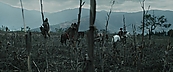 Filename=inthefire00732.jpg
Filesize=404KiB
Dimensions=1920x800
Date added=Oct 13, 2023 inthefire00732.jpg