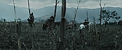 Filename=inthefire00733.jpg
Filesize=421KiB
Dimensions=1920x800
Date added=Oct 13, 2023 inthefire00733.jpg