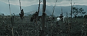 Filename=inthefire00734.jpg
Filesize=399KiB
Dimensions=1920x800
Date added=Oct 13, 2023 inthefire00734.jpg