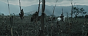 Filename=inthefire00735.jpg
Filesize=400KiB
Dimensions=1920x800
Date added=Oct 13, 2023 inthefire00735.jpg
