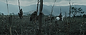 Filename=inthefire00736.jpg
Filesize=397KiB
Dimensions=1920x800
Date added=Oct 13, 2023 inthefire00736.jpg
