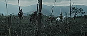 Filename=inthefire00737.jpg
Filesize=408KiB
Dimensions=1920x800
Date added=Oct 13, 2023 inthefire00737.jpg