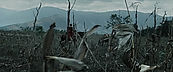Filename=inthefire00835.jpg
Filesize=392KiB
Dimensions=1920x800
Date added=Oct 13, 2023 inthefire00835.jpg