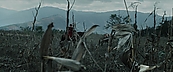 Filename=inthefire00836.jpg
Filesize=389KiB
Dimensions=1920x800
Date added=Oct 13, 2023 inthefire00836.jpg