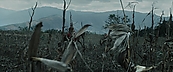 Filename=inthefire00841.jpg
Filesize=386KiB
Dimensions=1920x800
Date added=Oct 13, 2023 inthefire00841.jpg
