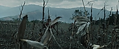 Filename=inthefire00842.jpg
Filesize=391KiB
Dimensions=1920x800
Date added=Oct 13, 2023 inthefire00842.jpg