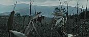 Filename=inthefire00847.jpg
Filesize=395KiB
Dimensions=1920x800
Date added=Oct 13, 2023 inthefire00847.jpg