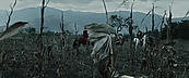 inthefire00872.jpg