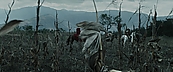 inthefire00873.jpg