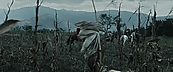 inthefire00874.jpg