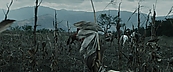 inthefire00875.jpg