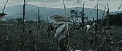 inthefire00877.jpg
