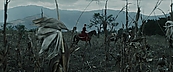 inthefire00905.jpg