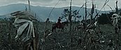 inthefire00916.jpg