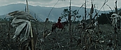 inthefire00918.jpg