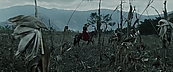 inthefire00920.jpg