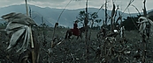 inthefire00924.jpg