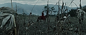 inthefire00928.jpg