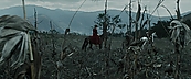 inthefire00929.jpg