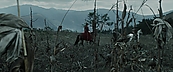 inthefire00931.jpg