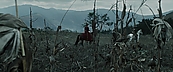 inthefire00932.jpg