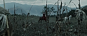inthefire00936.jpg