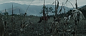 inthefire00944.jpg
