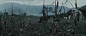 inthefire00945.jpg
