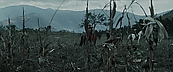 inthefire00947.jpg