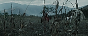 inthefire00948.jpg