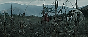 inthefire00949.jpg
