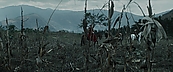 inthefire00950.jpg