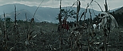 inthefire00951.jpg