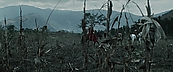 inthefire00952.jpg