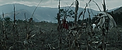 inthefire00953.jpg