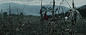 inthefire00954.jpg