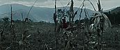 inthefire00960.jpg