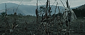 inthefire00968.jpg