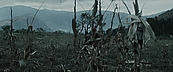 inthefire00969.jpg