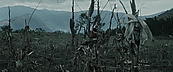inthefire00973.jpg