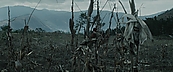 inthefire00974.jpg