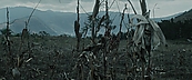 inthefire00979.jpg