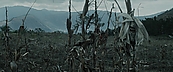 inthefire00980.jpg
