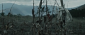 inthefire00984.jpg