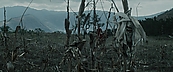 inthefire00985.jpg